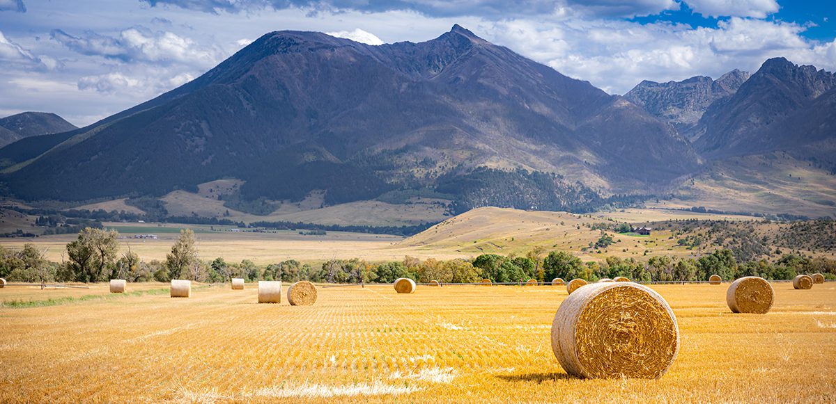 Constitution Party Wyoming