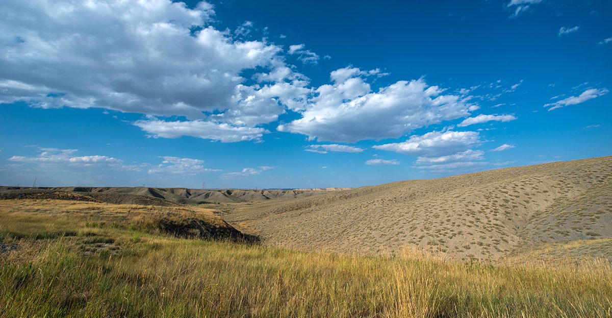 Constitution Party Wyoming