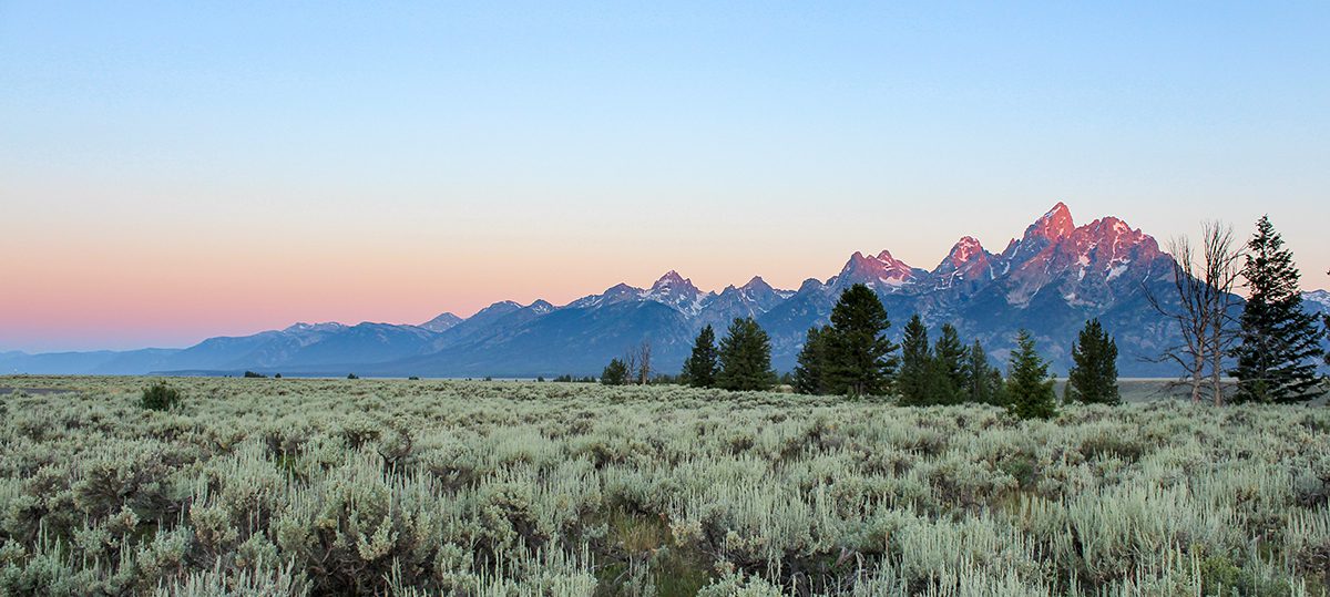 Constitution Party Wyoming