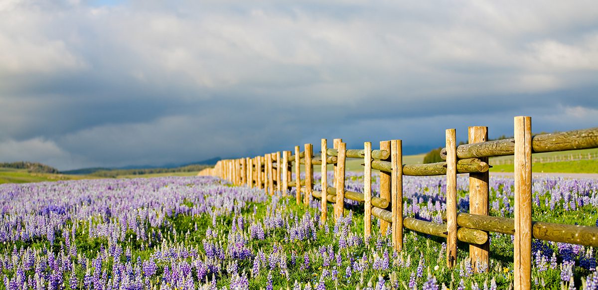 Constitution Party Wyoming