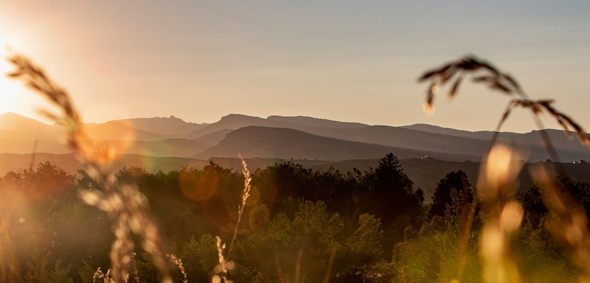 Constitution Party Wyoming