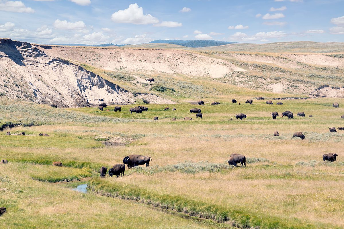 Goshen County politics